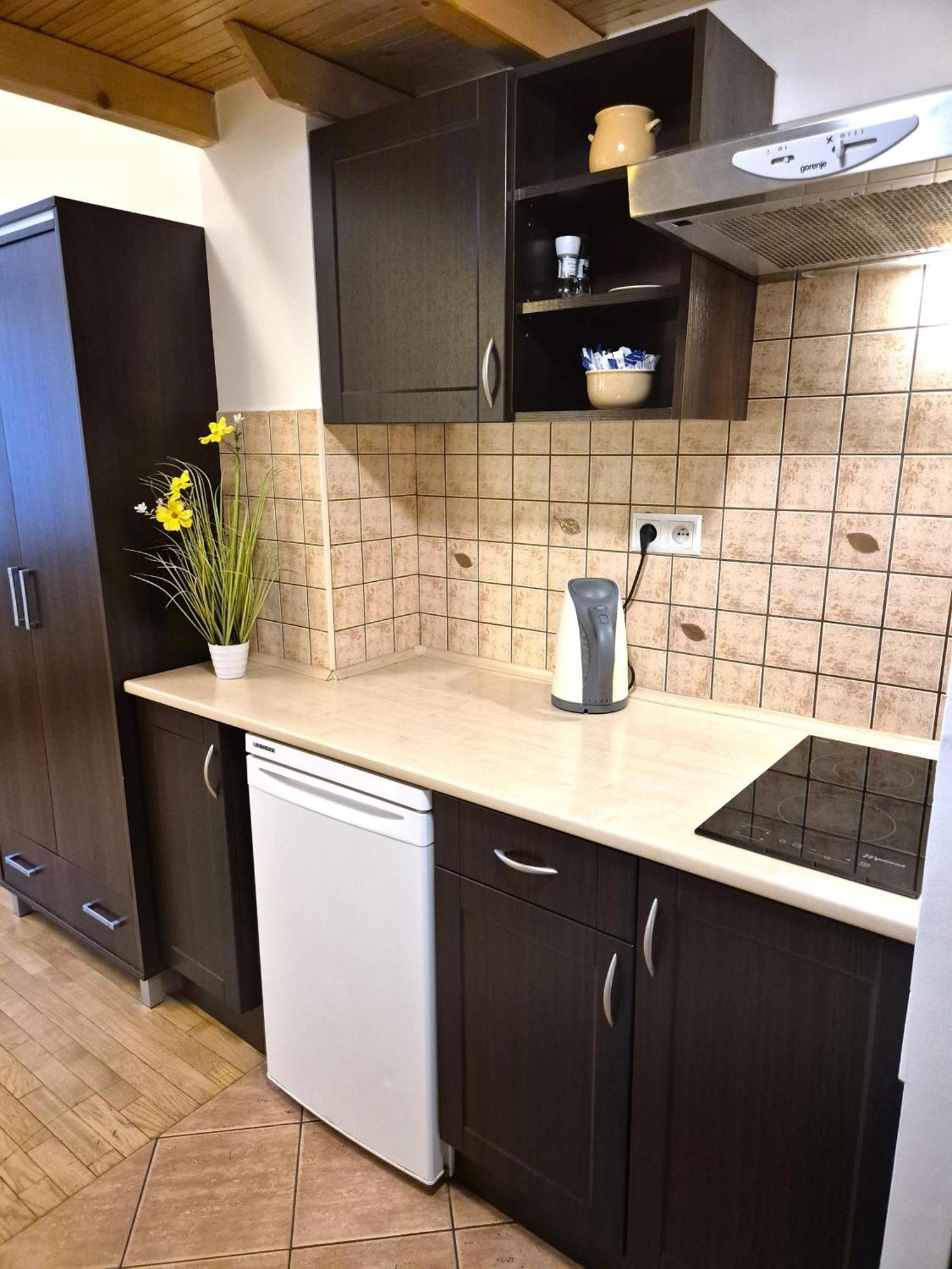 Safona - Pantheon Apartments คราคูฟ ภายนอก รูปภาพ
